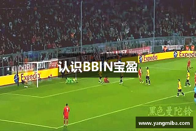 认识BBIN宝盈